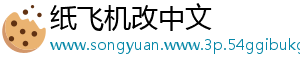 纸飞机改中文